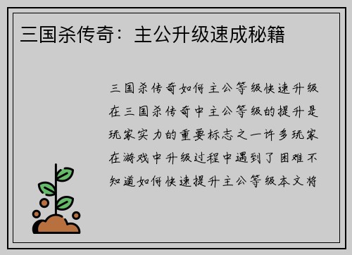 三国杀传奇：主公升级速成秘籍